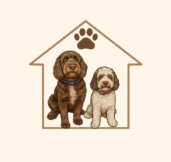 Claire Bears Doggy Daycare And Home Boarding